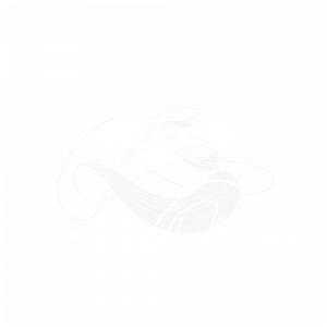 white logo